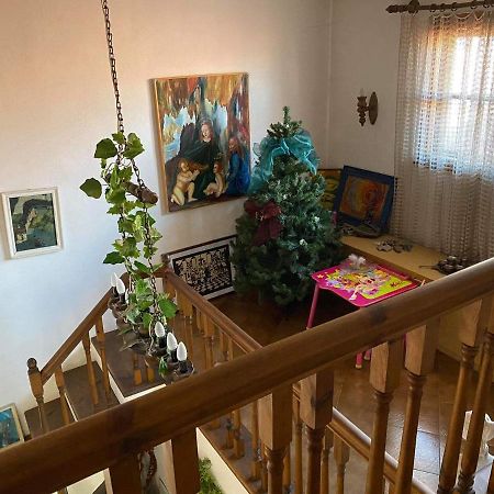 Art Studio 사파레바바냐 외부 사진