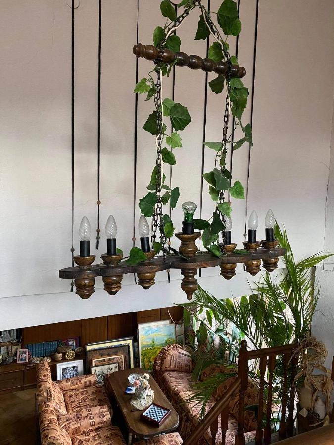 Art Studio 사파레바바냐 외부 사진