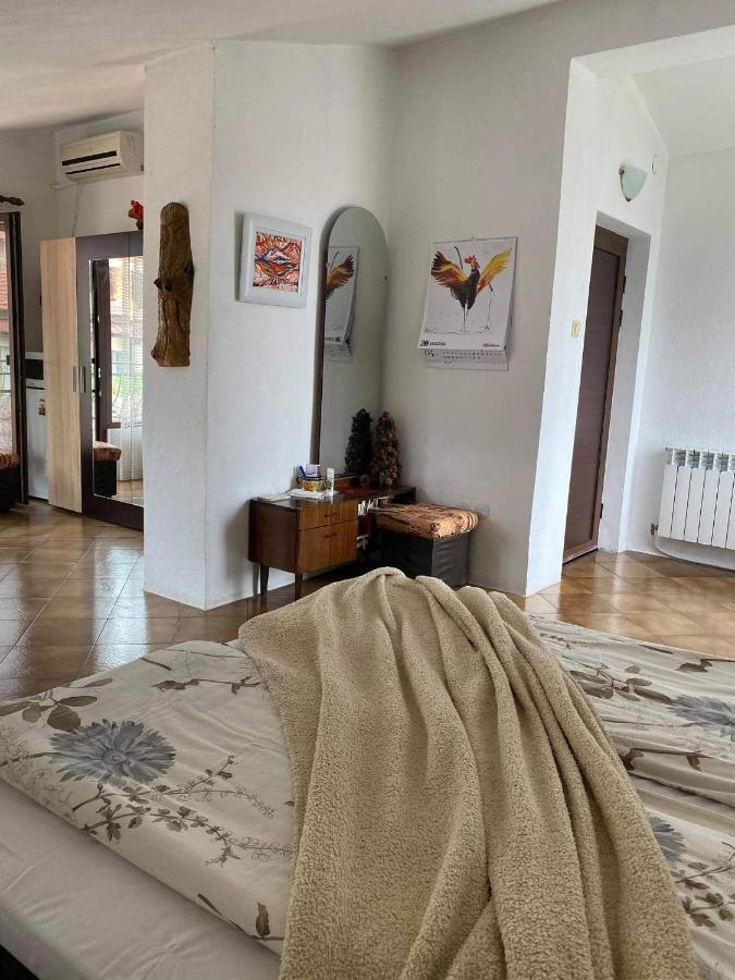 Art Studio 사파레바바냐 외부 사진